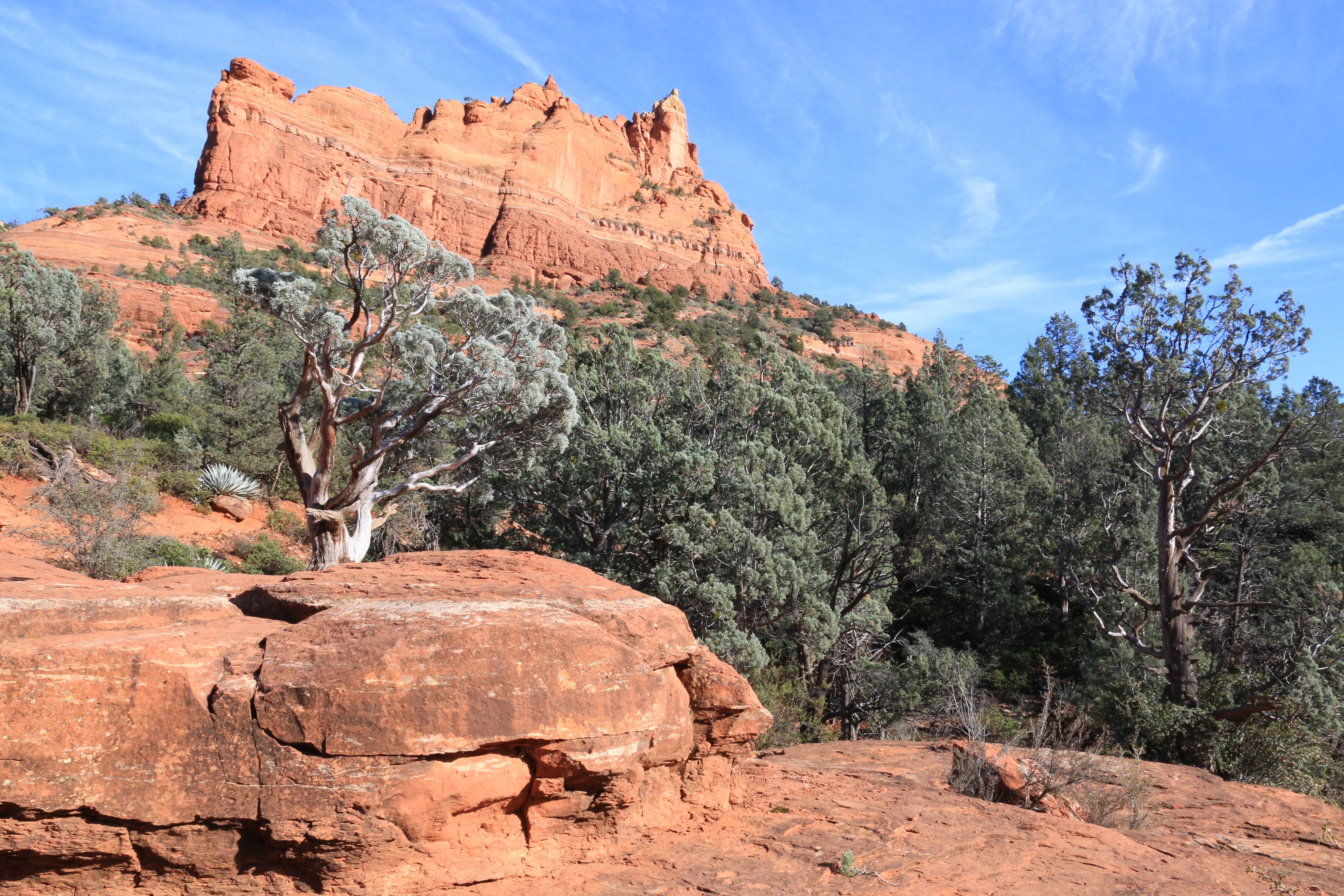 Sedona